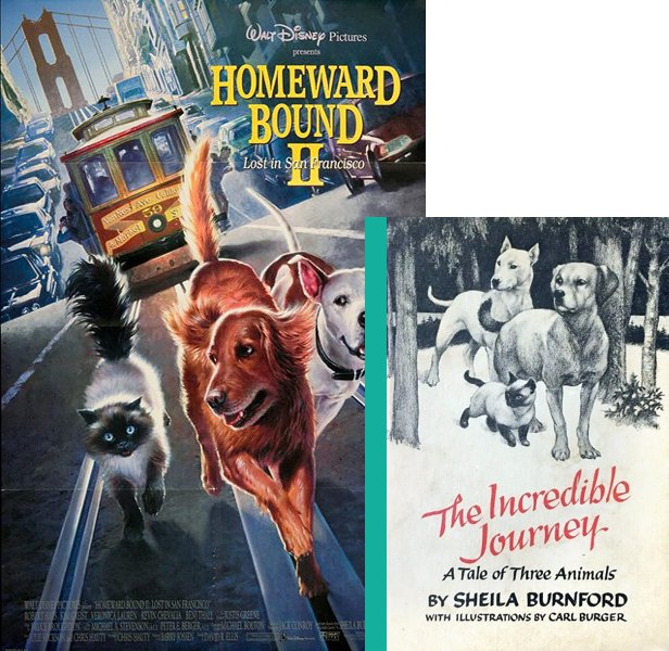 Homeward Bound II: Lost in San Francisco. The 1996 movie compared to the 1960 book, The Incredible Journey