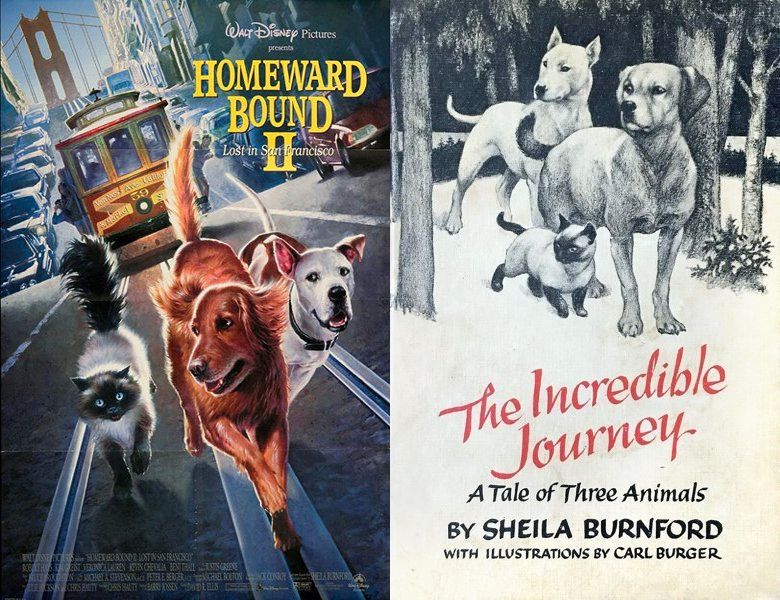 Homeward Bound II: Lost in San Francisco. Poster of the 1996 movie and cover of the 1960 book, The Incredible Journey