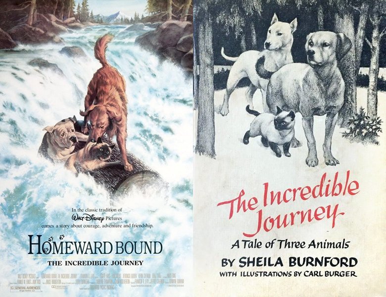Homeward Bound: The Incredible Journey. Poster of the 1993 movie and cover of the 1960 book, The Incredible Journey