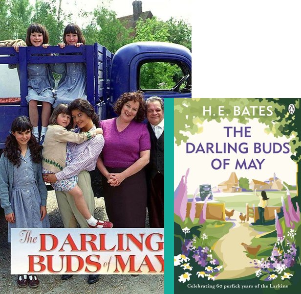 The Darling Buds of May. The 1991 TV series compared to the 1958 book