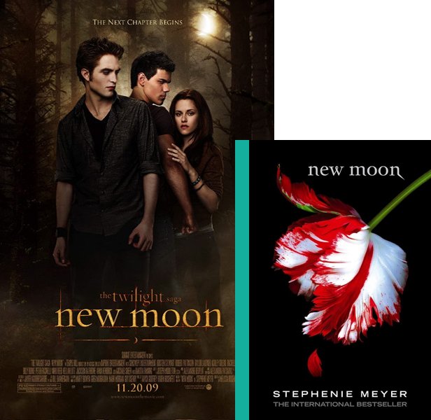 The Twilight Saga: New Moon. The 2009 movie compared to the 2006 book, New Moon