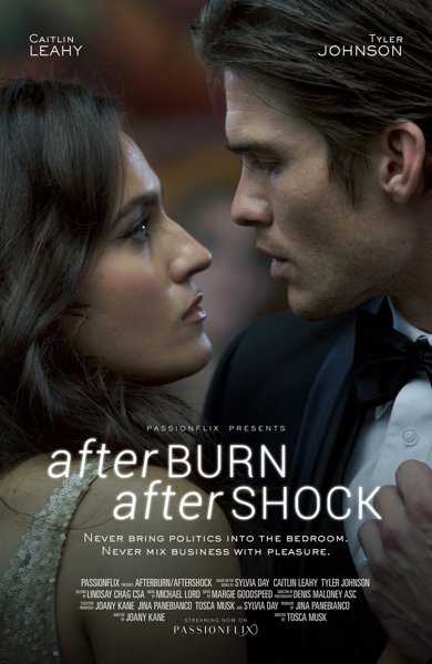 Poster of Afterburn Aftershock, the 2017 movie by Tosca Musk