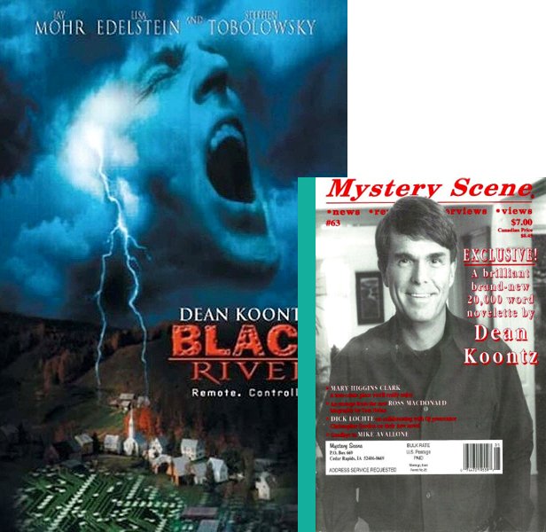 Black River (2001) Movie poster and book cover compared.