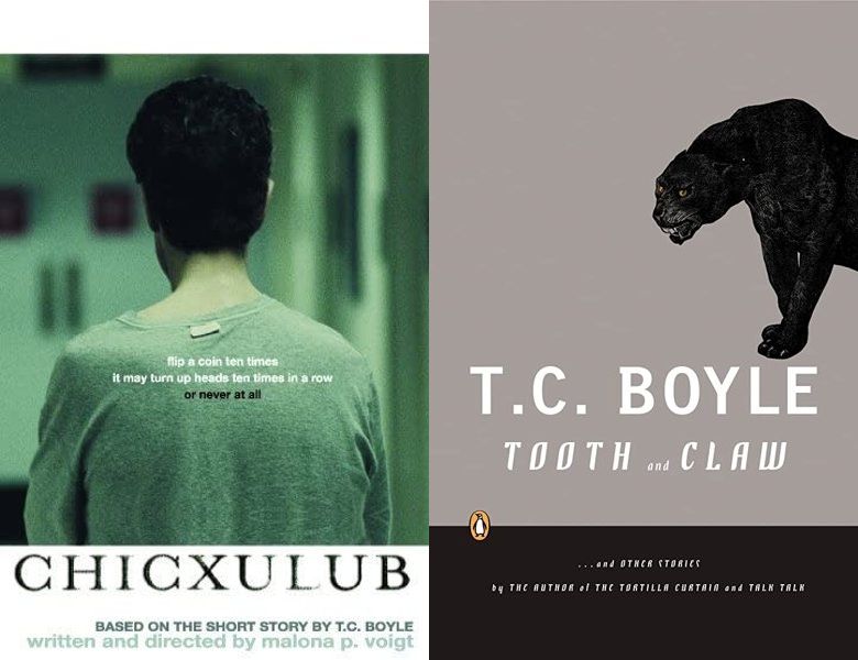 Chicxulub. Poster of the 2006 movie and cover of the 2005 book