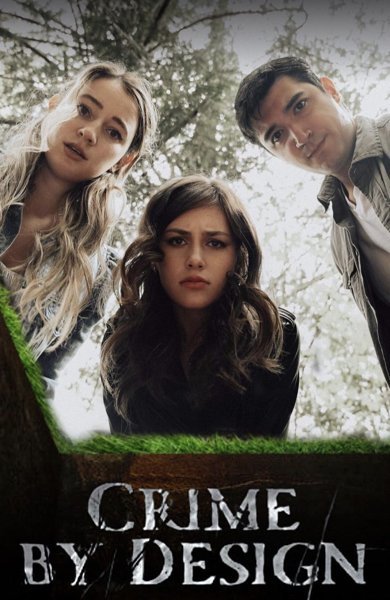 Poster of Crime by Design, the 2024 movie by Leonardo Ambriz