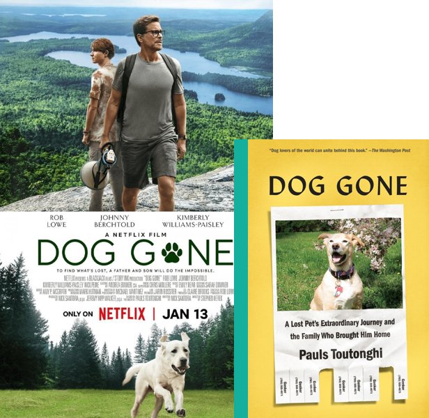 Dog Gone (2023) movie vs book