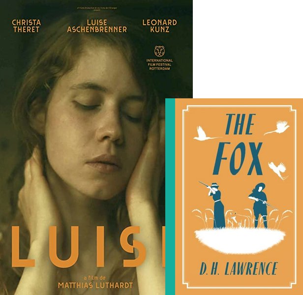 Luise (2023) Movie poster and book cover compared.