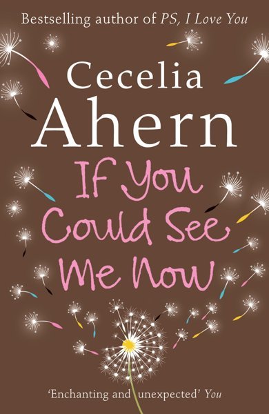 Cover of If You Could See Me Now, the 2005 book by Cecelia Ahern