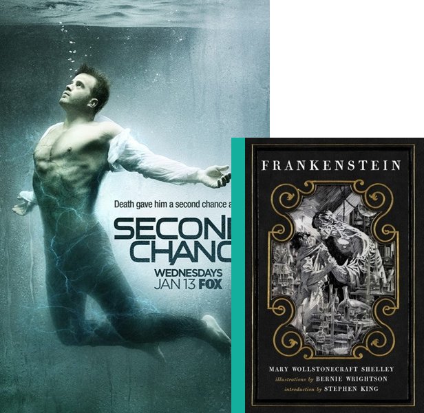 Second Chance (2016) TV Series poster and book cover compared.