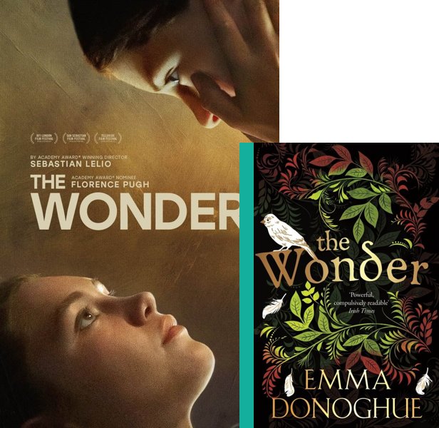 The Wonder. The 2022 movie compared to the 2016 book